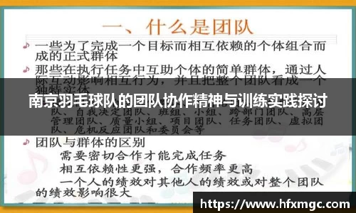南京羽毛球队的团队协作精神与训练实践探讨