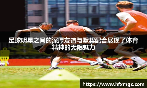 好博体育登录入口